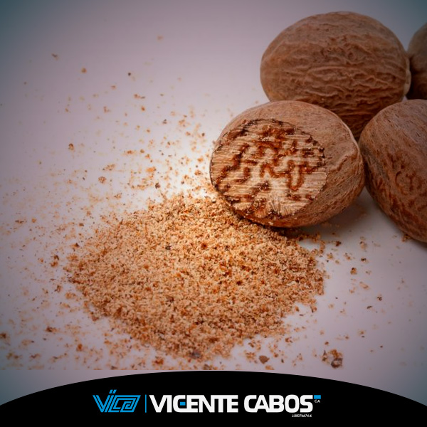 Extracto de nuez moscada 1×4